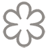 Stern Quadrat